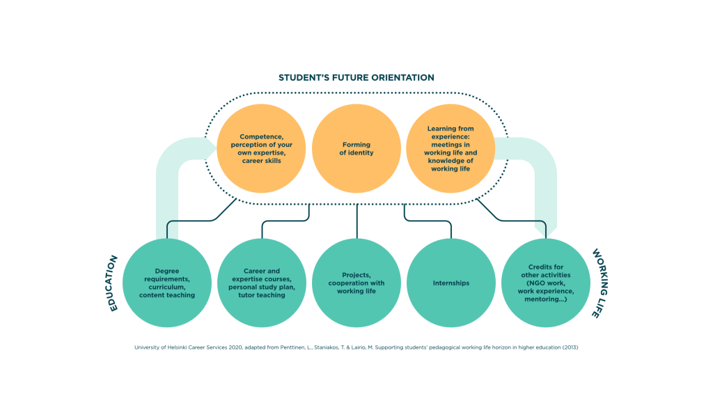 As the student orients himself / herself towards his / her own future, he / she processes his / her own skills, constructive identity as well as his / her own knowledge and experiences of working life. These forward-looking considerations are influenced by a wide range of experiences along the study path, such as degree requirements and substantive teaching, career and expertise courses, supervision, projects, internships, and other study-related activities such as organizational work or mentoring.