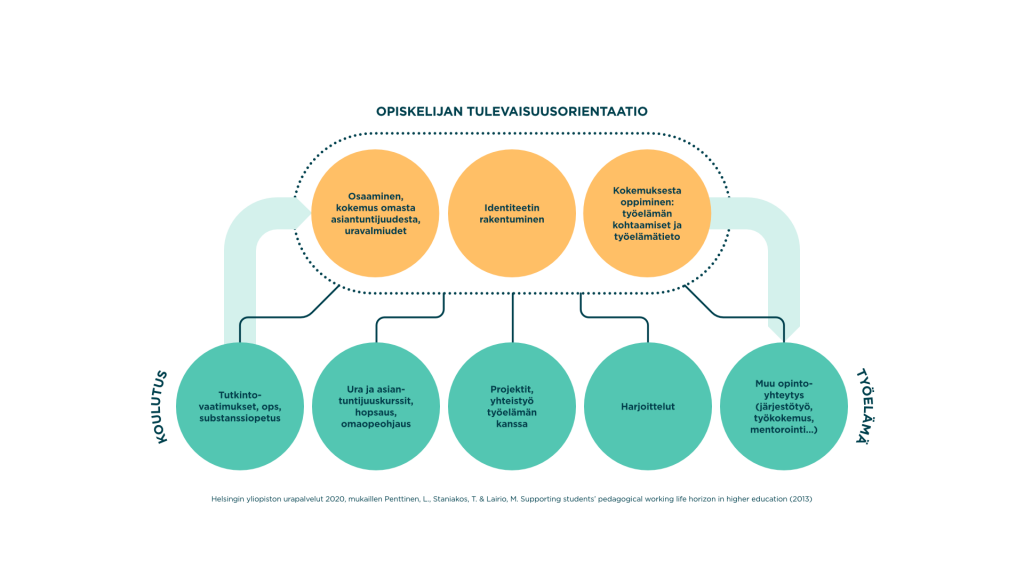 Kun opiskelija orientoituu kohti omaa tulevaisuuttaan, hän prosessoi niin omaa osaamistaan, rakentuvaa identiteettiään kuin omia tietojaan ja kokemuksiaan työelämästä. Näihin tulevaisuuspohdintoihin vaikuttavat monenlaiset kokemukset opintopolulla, kuten tutkintovaatimukset ja substanssiopetus, ura- ja asiantuntijuuskurssit, ohjaus, projektit, harjoittelu ja muu opintoihin liittyvä toiminta, kuten järjestötyö tai mentorointi.
