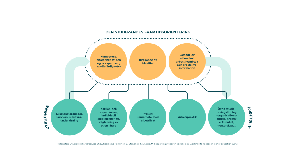 När studenten orienterar sig mot sin egen framtid bearbetar han / hon sina egna färdigheter, konstruktiva identitet samt sin egen kunskap och erfarenheter av arbetslivet. Dessa framåtriktade överväganden påverkas av ett brett utbud av erfarenheter längs studievägen, såsom examenkrav och innehållslig undervisning, karriär- och expertkurser, handledning, projekt, praktikplatser och andra studierelaterade aktiviteter som organisatoriskt arbete eller mentorskap.